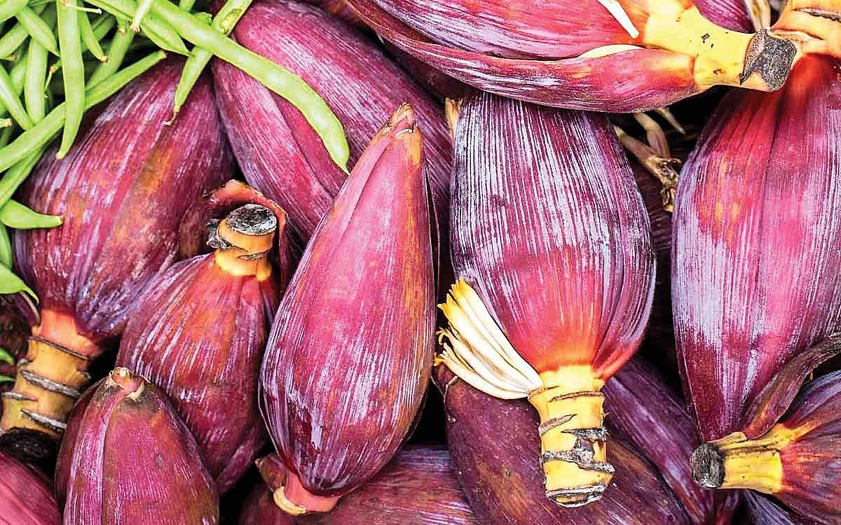 பாட்டி வைத்தியம்...