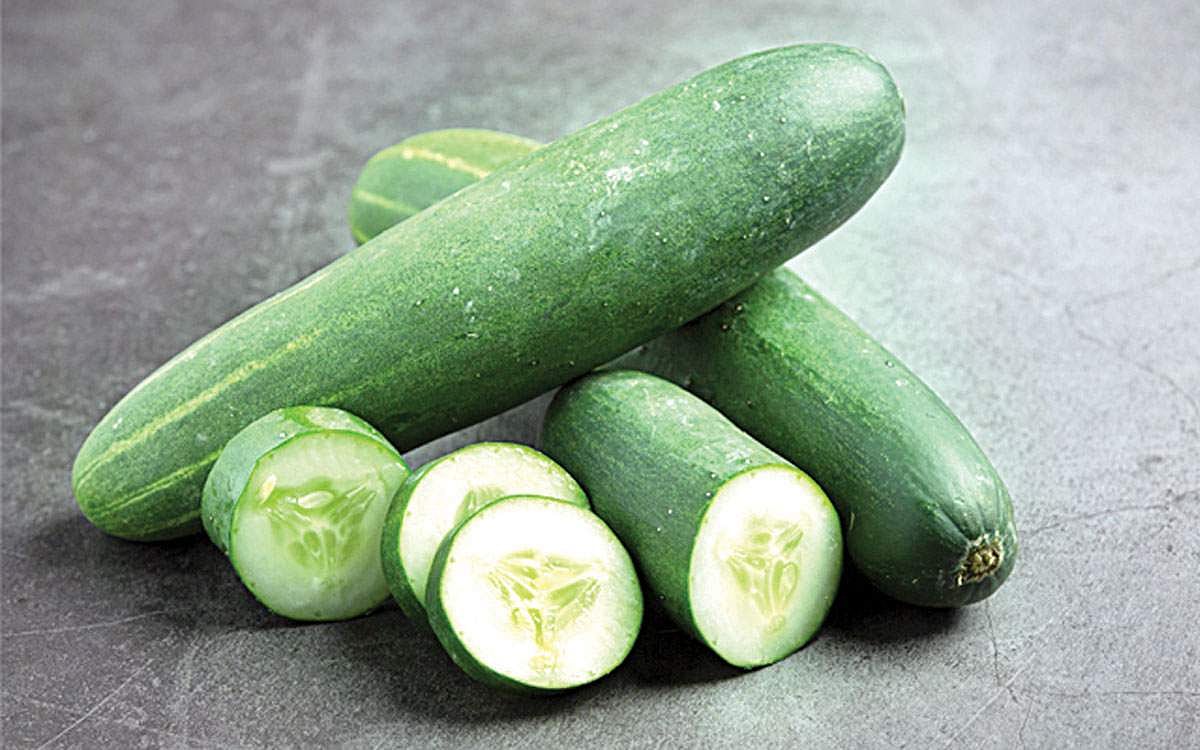 ஆயுள் காக்கும் ஆயுர்வேதம்: வெள்ளரிக்காய் சாப்பிடுவது ஆரோக்கியமா?