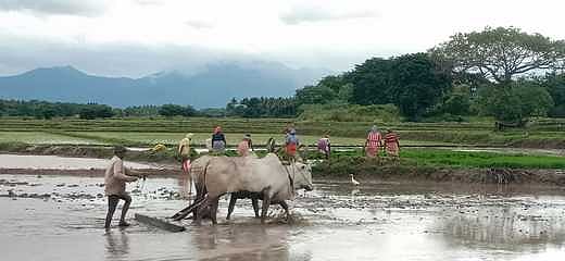 விவசாயத்தின் எதிா்காலம்