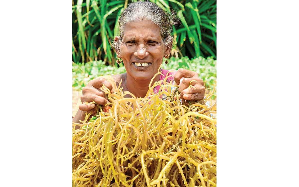 அசத்தல்...!