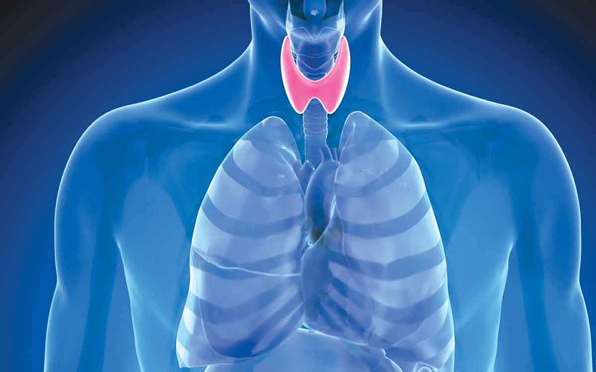 ஆயுள் காக்கும் ஆயுர்வேதம்: தைராய்டு உபாதை நீங்க...