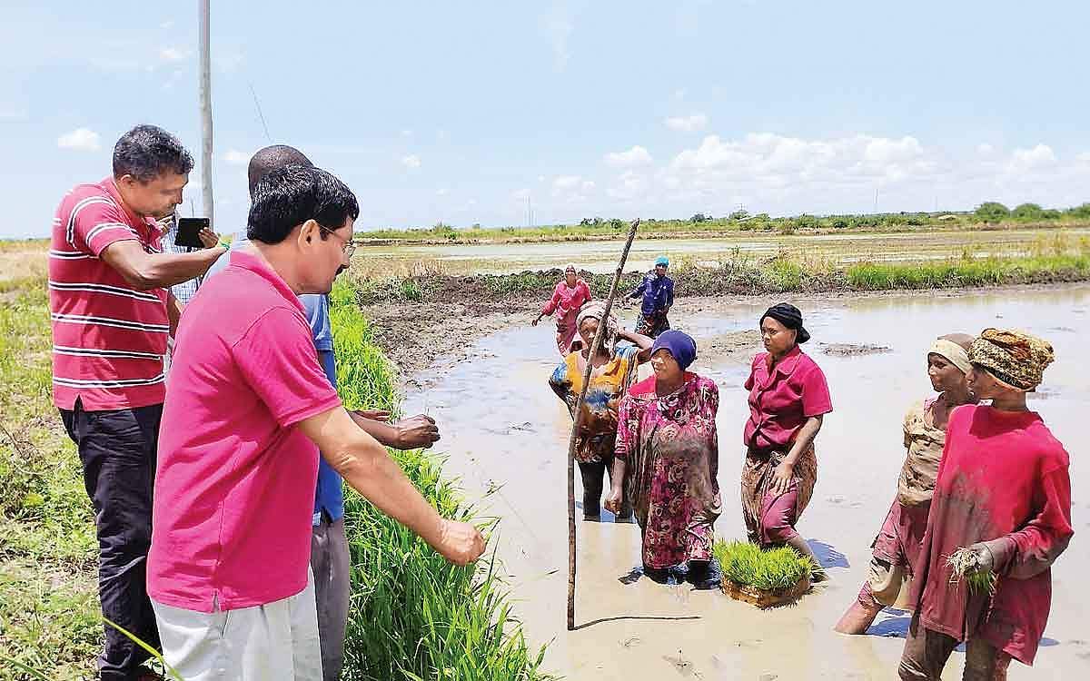 தமிழ்நாட்டிலிருந்து தான்சானியாவுக்கு..!