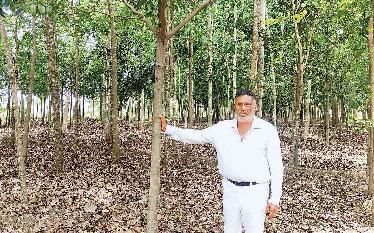 குறுங்காட்டில் பள்ளிப் பாடம்..!