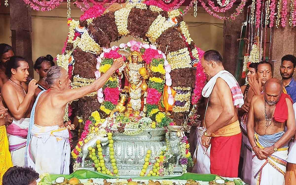 மயக்கும் மாங்கனித் திருவிழா!