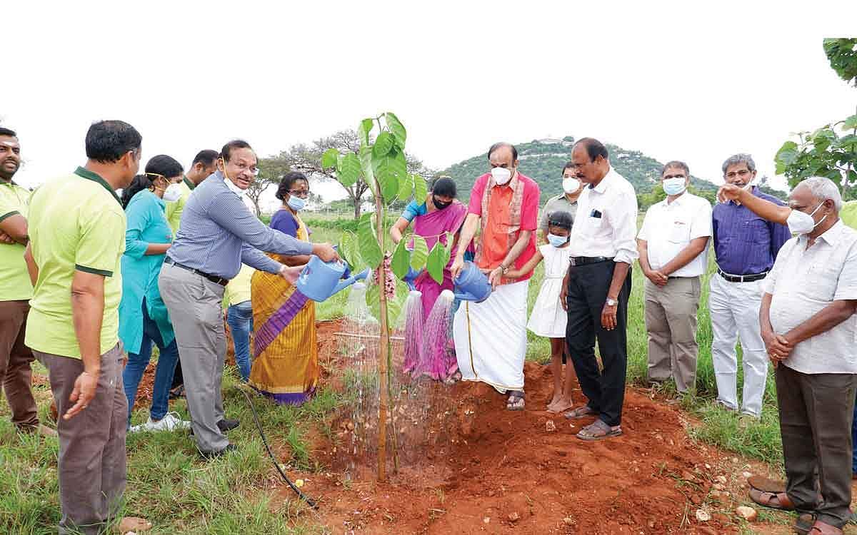 4 ஆண்டுகளில் 40 லட்சம் மரக்கன்றுகள்...